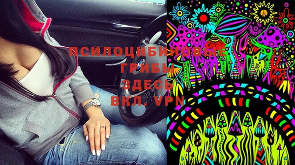 ешки Алексин