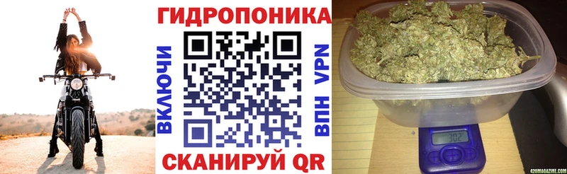 Канабис конопля  Электроугли 